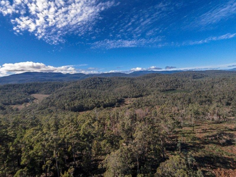 1/659 Lilydale Road, Underwood TAS 7268