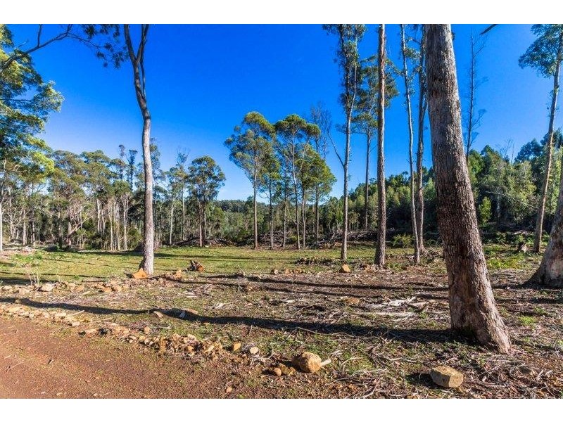 1/659 Lilydale Road, Underwood TAS 7268