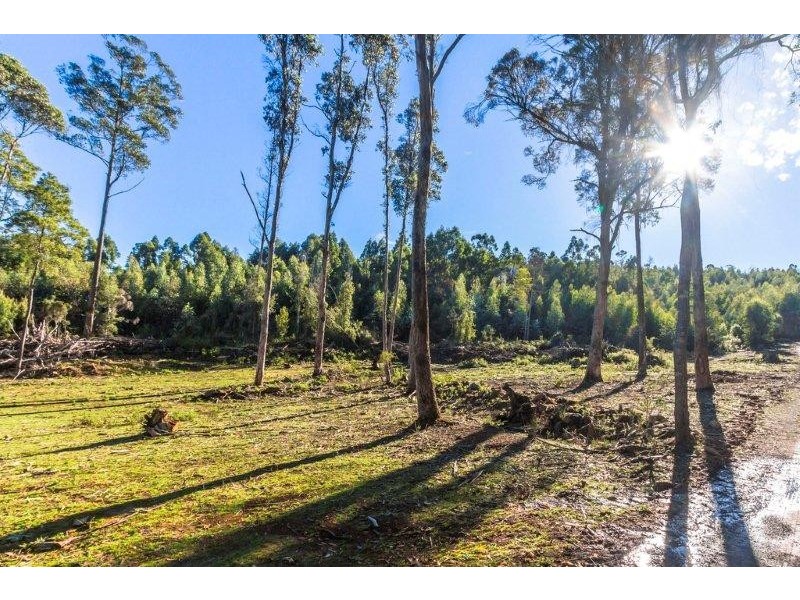 1/659 Lilydale Road, Underwood TAS 7268