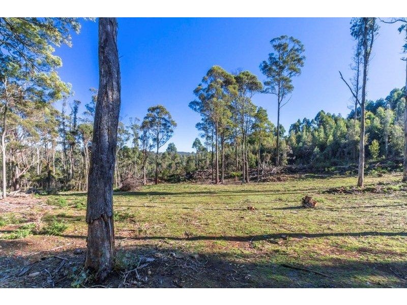 1/659 Lilydale Road, Underwood TAS 7268