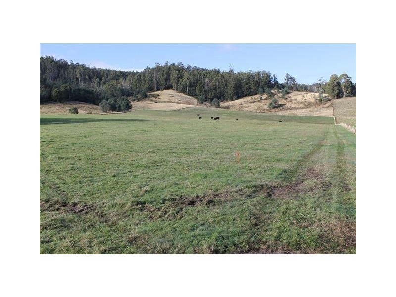 190 Doaks Road, Lilydale TAS 7268