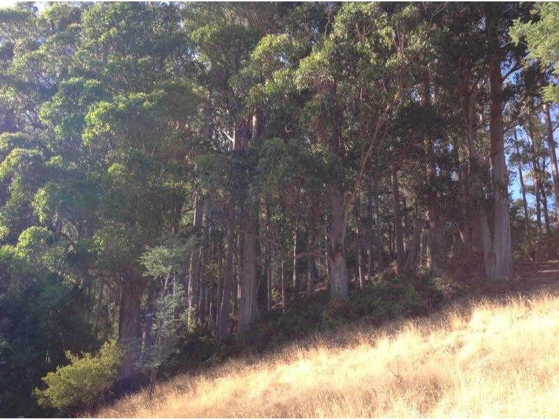 190 Doaks Road, Lilydale TAS 7268