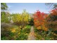 12 Edmund St, Launceston TAS 7250