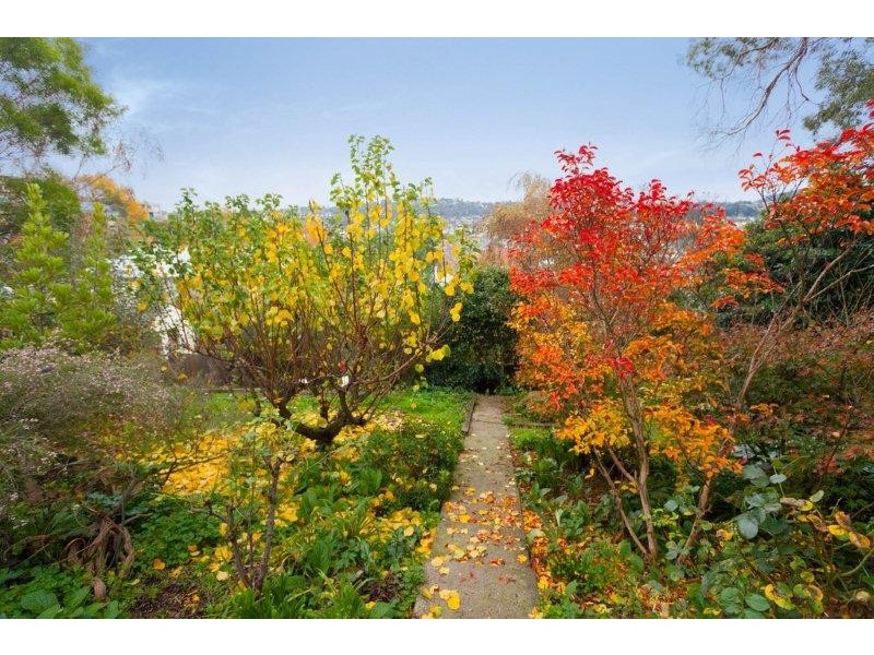 12 Edmund St, Launceston TAS 7250