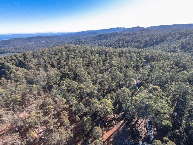 2/659 Lilydale Road, Underwood TAS 7268