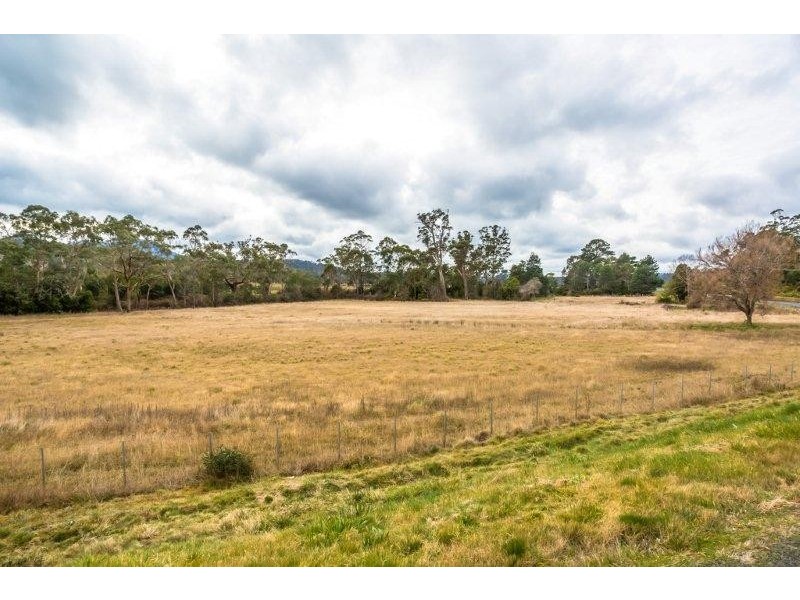 39080 Tasman Highway, Nunamara TAS 7259