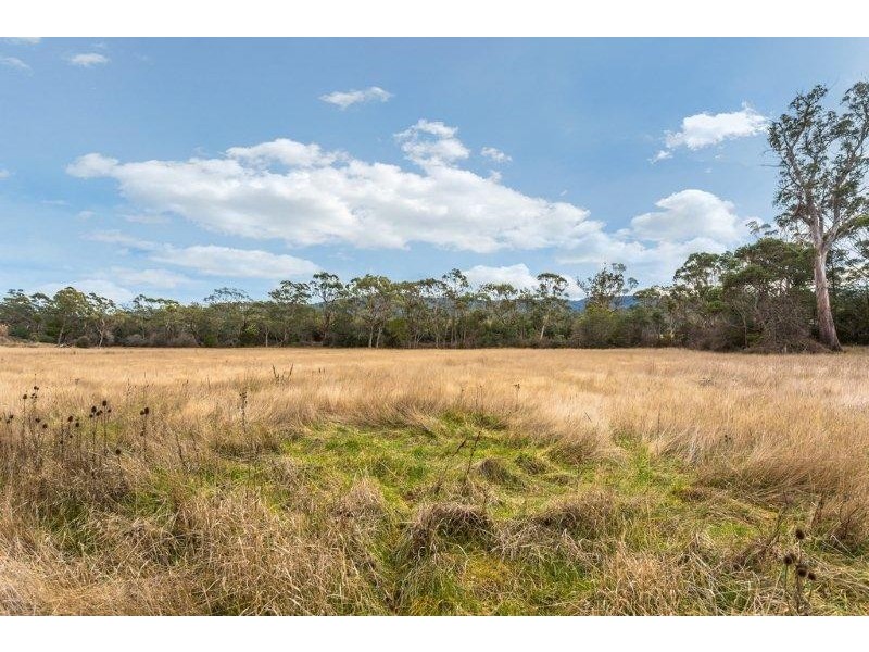 39080 Tasman Highway, Nunamara TAS 7259