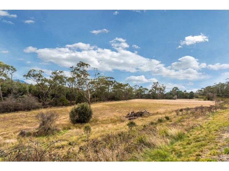 39080 Tasman Highway, Nunamara TAS 7259