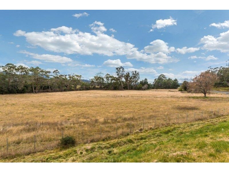 39080 Tasman Highway, Nunamara TAS 7259