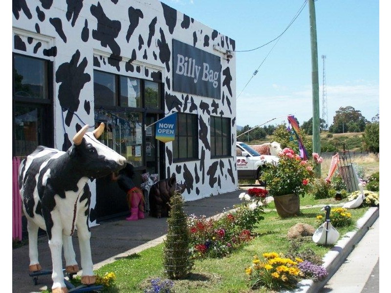 35 Falmouth Street, Avoca TAS 7213