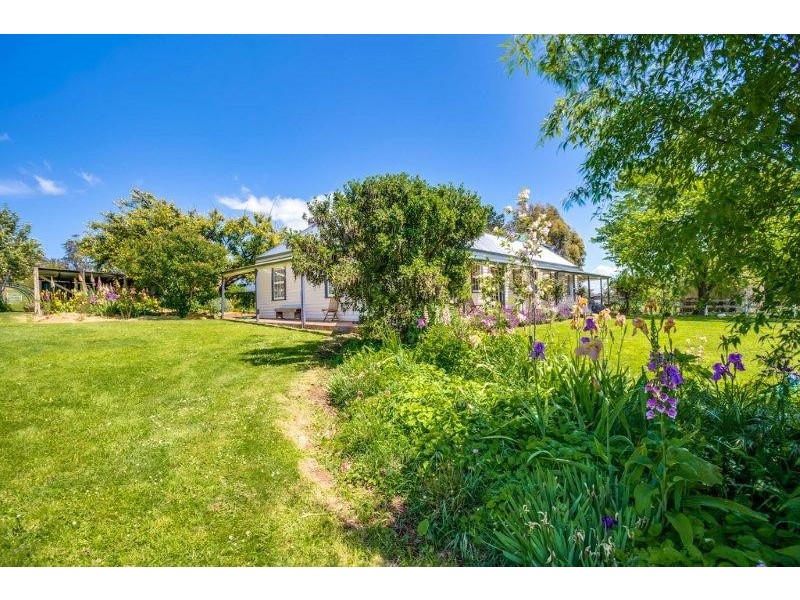 264 Ritchie Street, Westbury TAS 7303