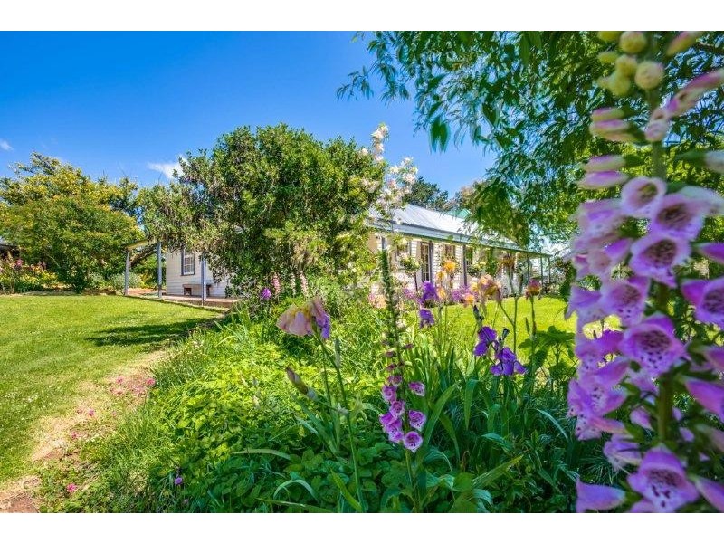 264 Ritchie Street, Westbury TAS 7303