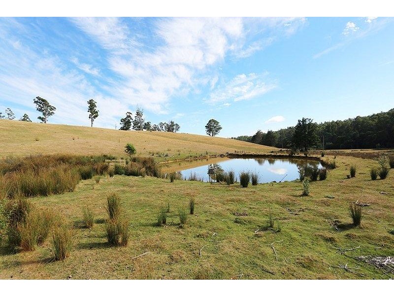 220 Burns Road, Wyena TAS 7254