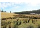 220 Burns Road, Wyena TAS 7254