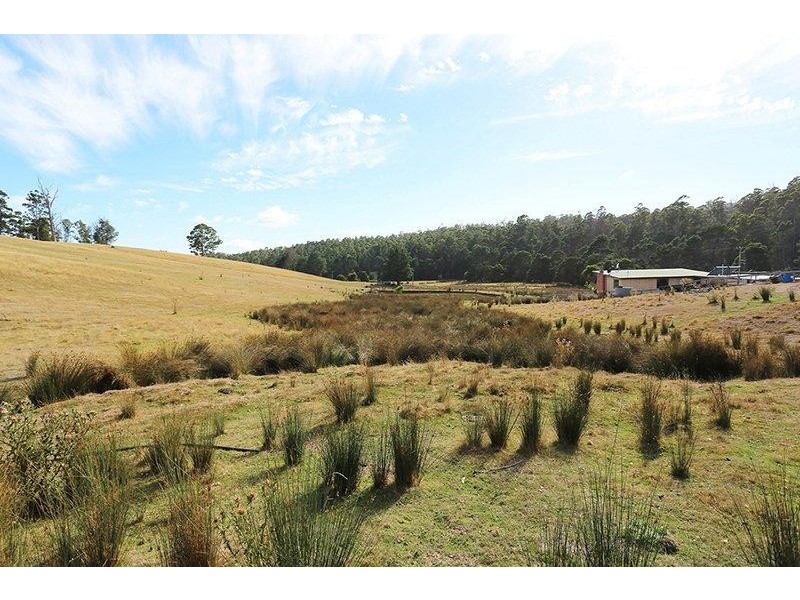 220 Burns Road, Wyena TAS 7254
