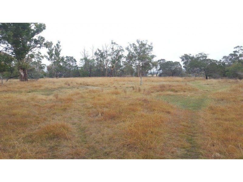 162 Outram St, Summerhill TAS 7250