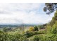 561 Hobart Road, Breadalbane TAS 7258