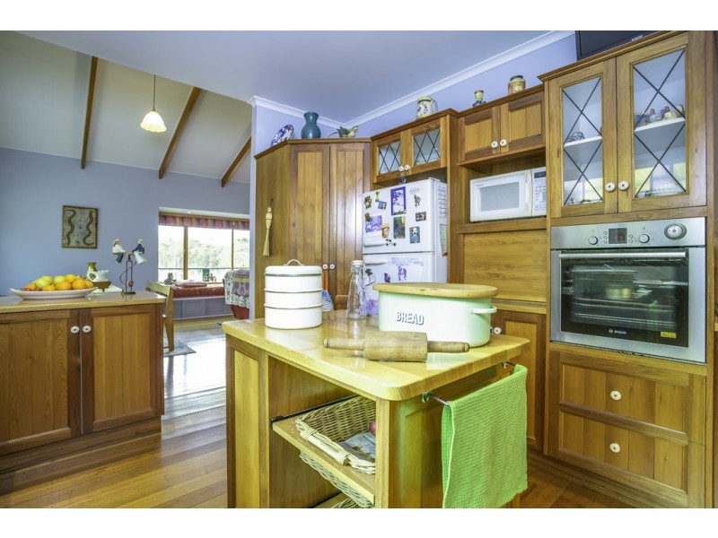100 Loriwood Drive, Turners Marsh TAS 7267