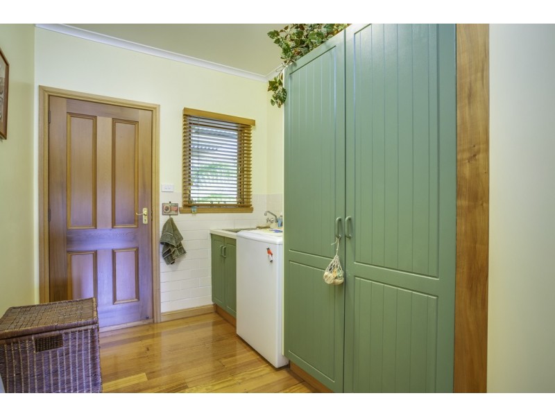 100 Loriwood Drive, Turners Marsh TAS 7267
