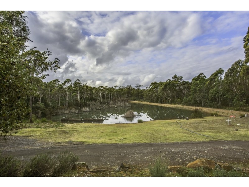 100 Loriwood Drive, Turners Marsh TAS 7267