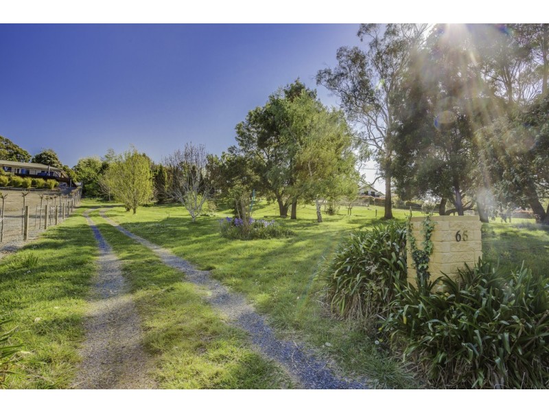 65 Dilston Road, Dilston TAS 7252