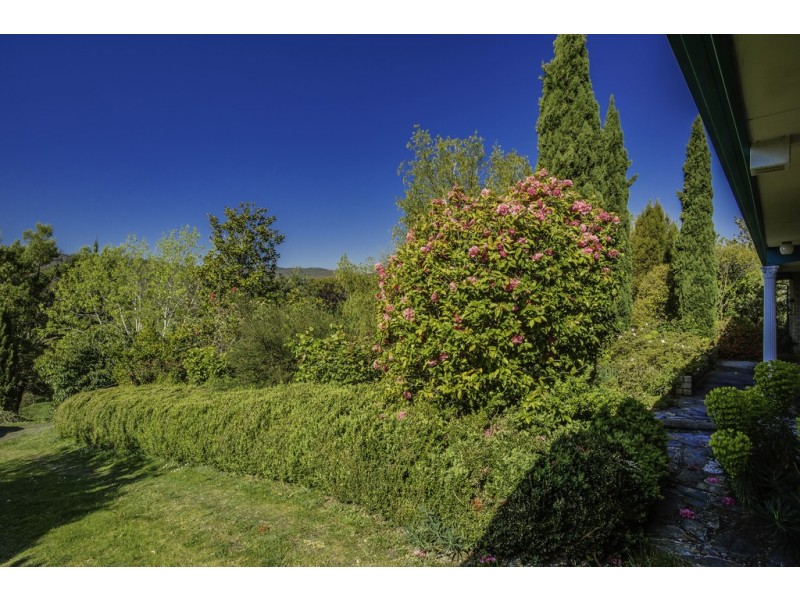 65 Dilston Road, Dilston TAS 7252