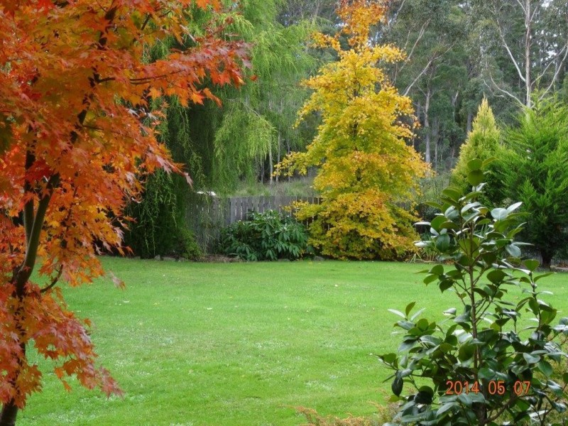 45 Weavers Creek Road, Nunamara TAS 7259