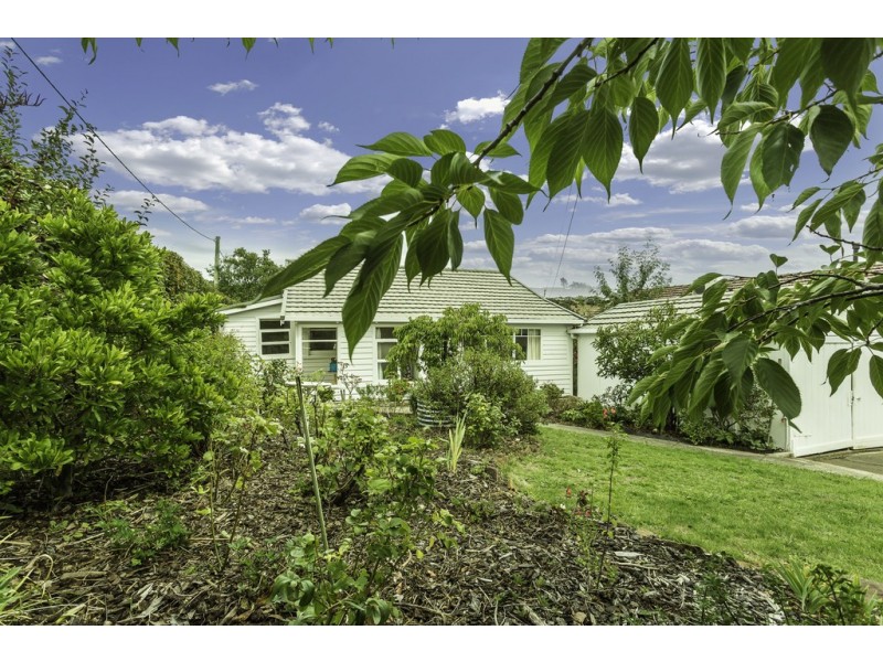 169 Punchbowl Rd, Newstead TAS 7250