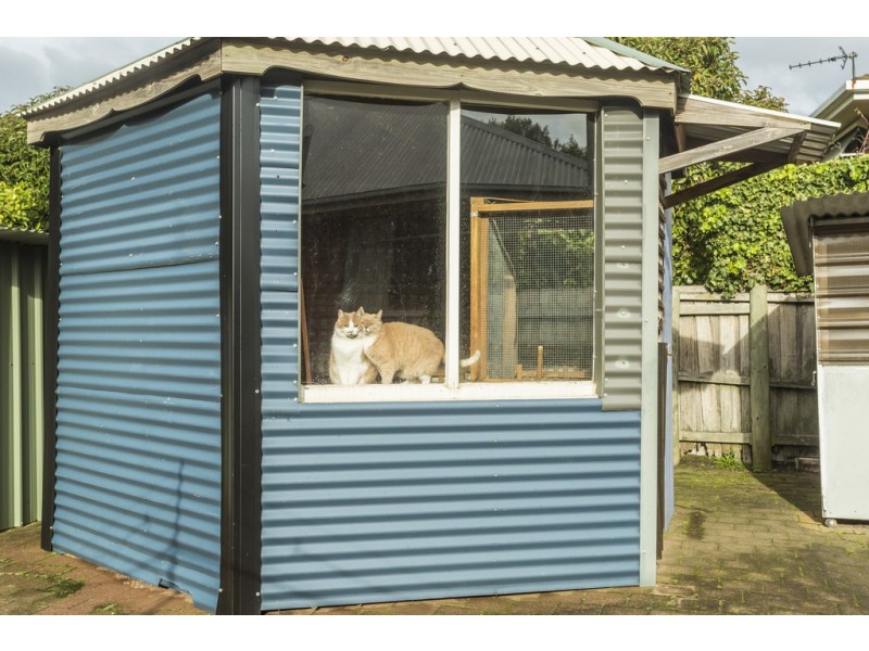 9 Dapple Street, Norwood TAS 7250