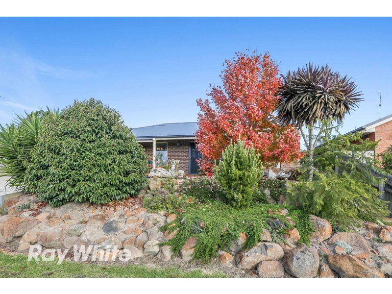 6 Glengarry Court, Drysdale VIC 3222