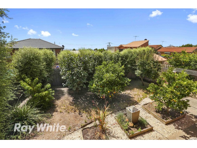 7 Camberwarra Avenue, Clifton Springs VIC 3222