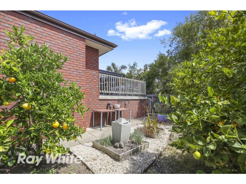 7 Camberwarra Avenue, Clifton Springs VIC 3222