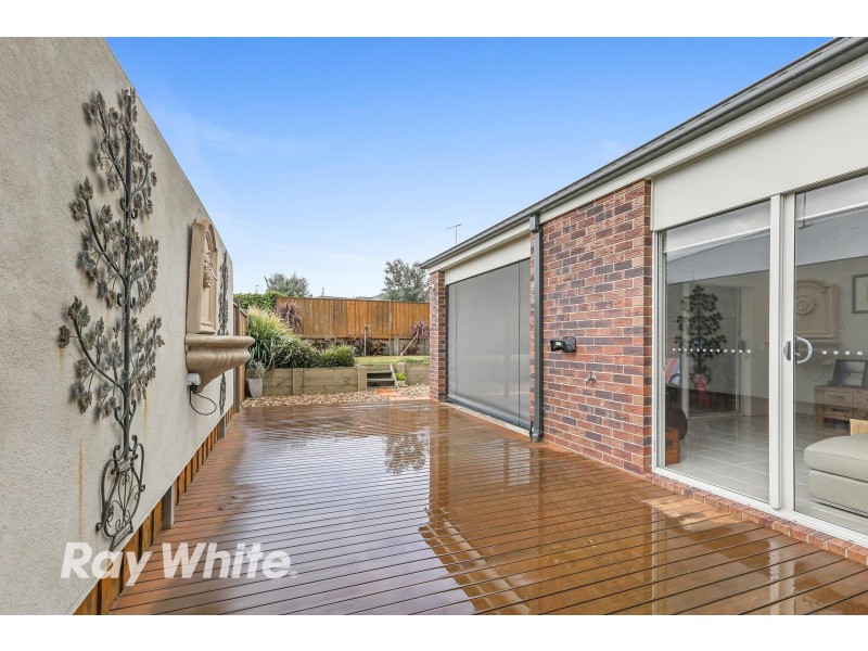 17 Barney Grove, Leopold VIC 3224