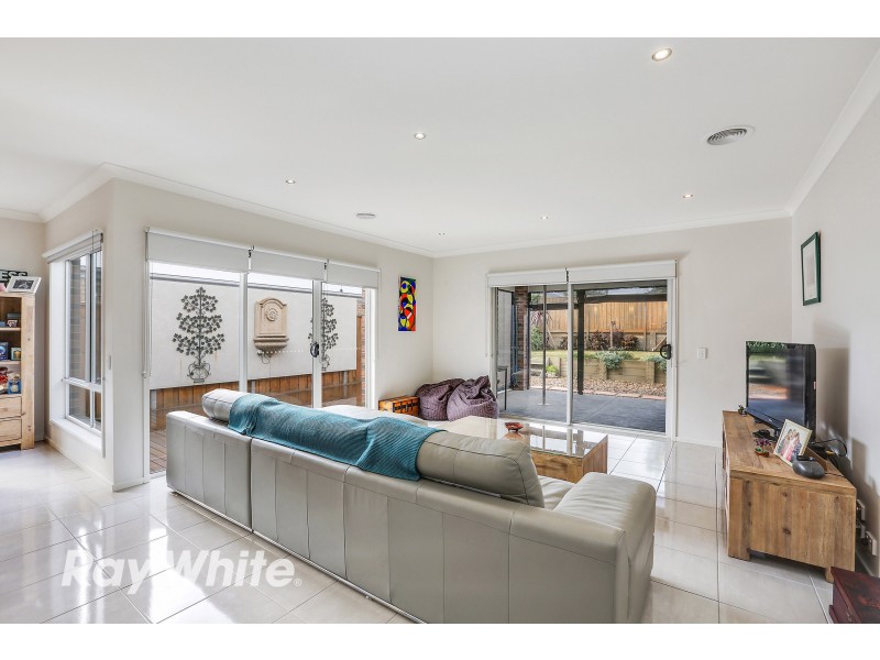 17 Barney Grove, Leopold VIC 3224