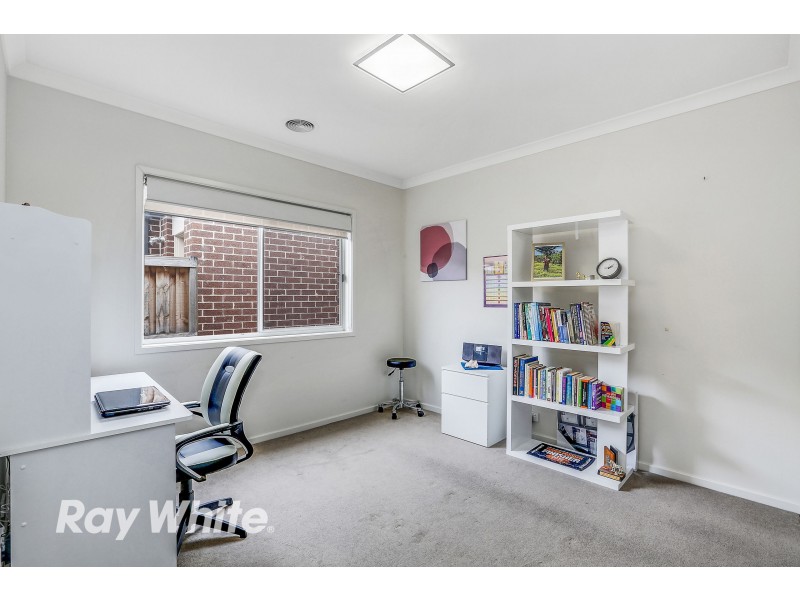 17 Barney Grove, Leopold VIC 3224
