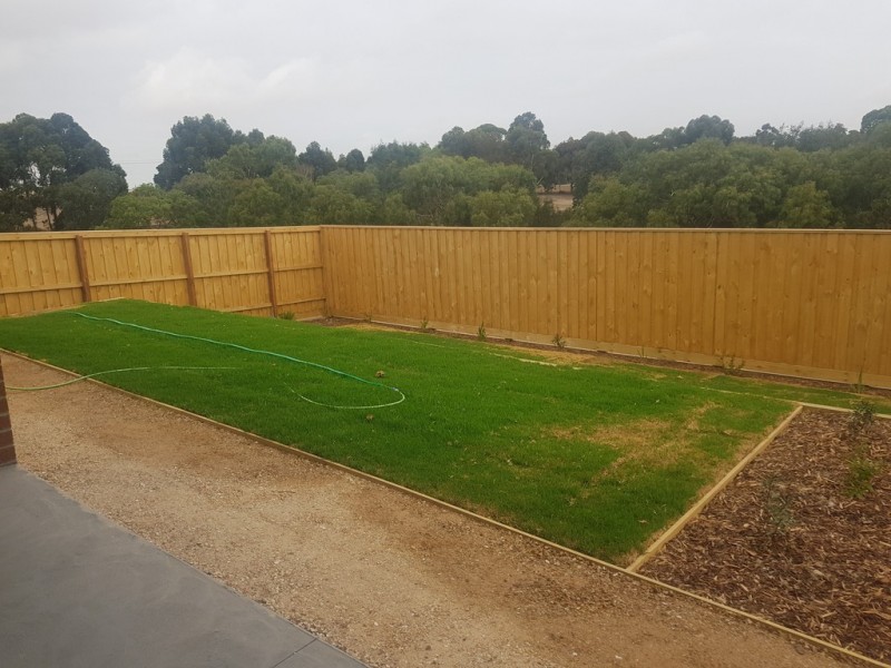 48 Newfields Drive, Drysdale VIC 3222