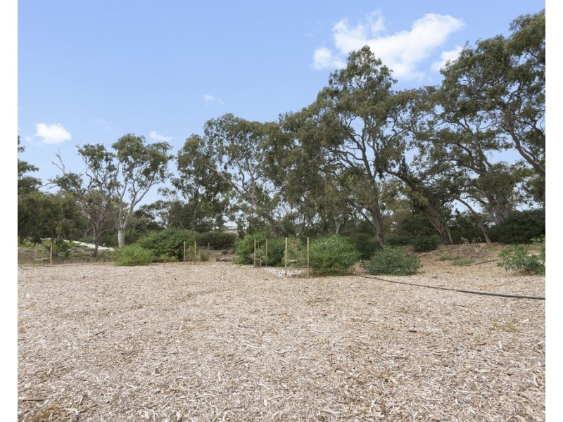 46 Massey Crescent, Curlewis VIC 3222