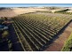 111-119 Settlement Road South, Drysdale VIC 3222