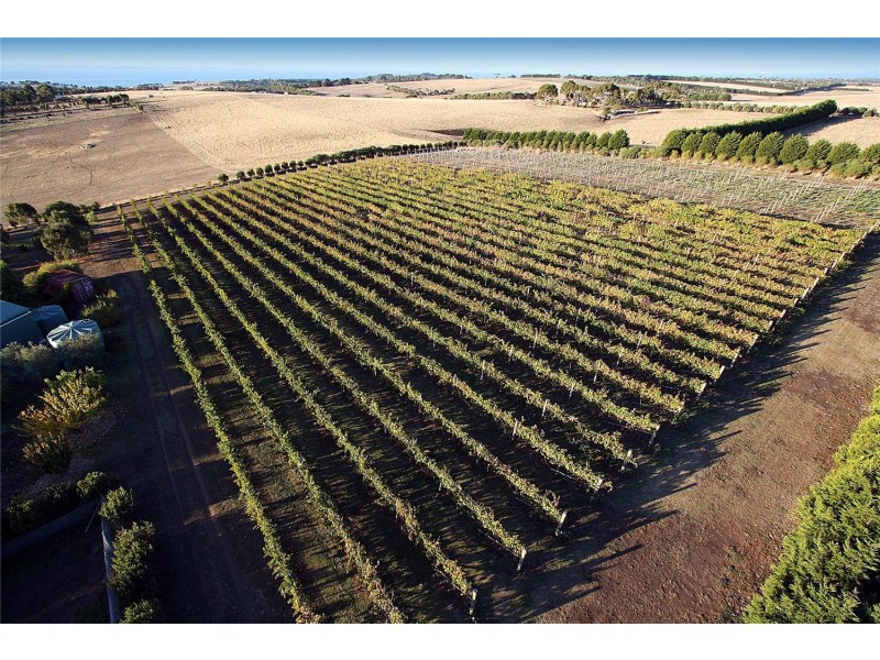 111-119 Settlement Road South, Drysdale VIC 3222