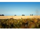 111-119 Settlement Road South, Drysdale VIC 3222