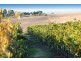 111-119 Settlement Road South, Drysdale VIC 3222
