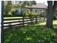 24 Collins Street, Drysdale VIC 3222
