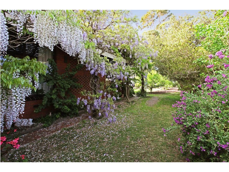 3 Amarina Road, Clifton Springs VIC 3222