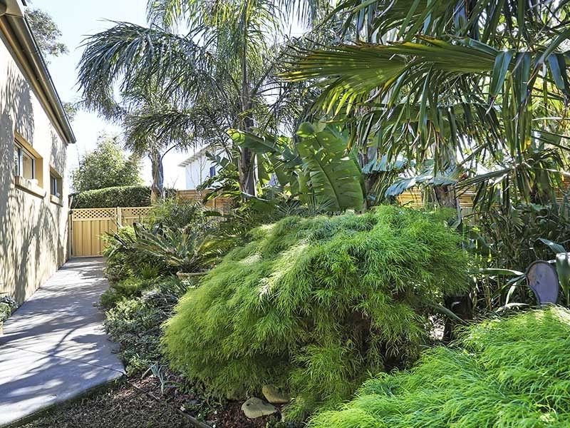 2/23 Wintersun Court, Drysdale VIC 3222