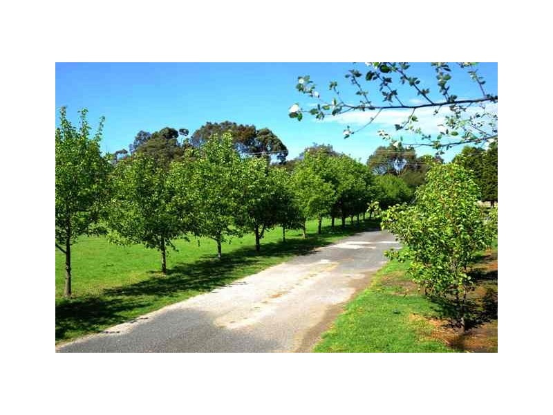 39-45 Sproat Street, Drysdale VIC 3222