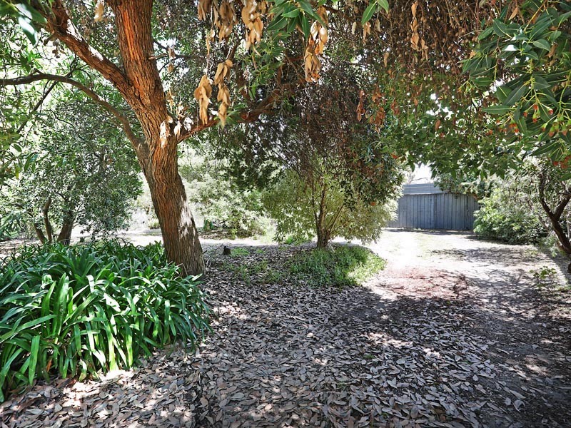 20 Ord Street, St Leonards VIC 3223