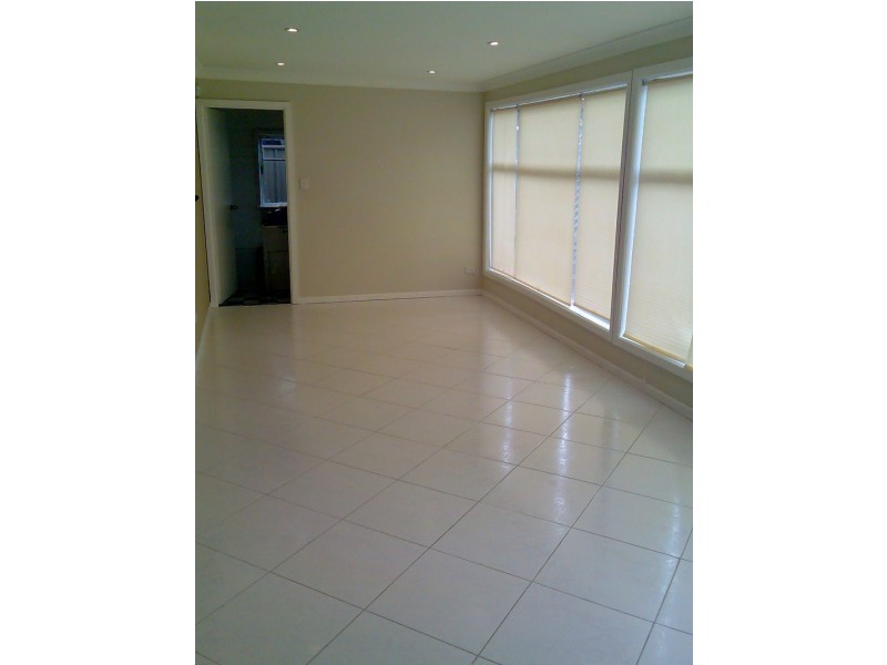 9 Hitter Avenue, Mount Pritchard NSW 2170