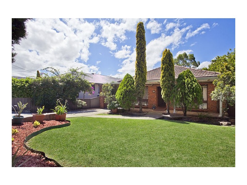 111 Banksia Road, Greenacre NSW 2190