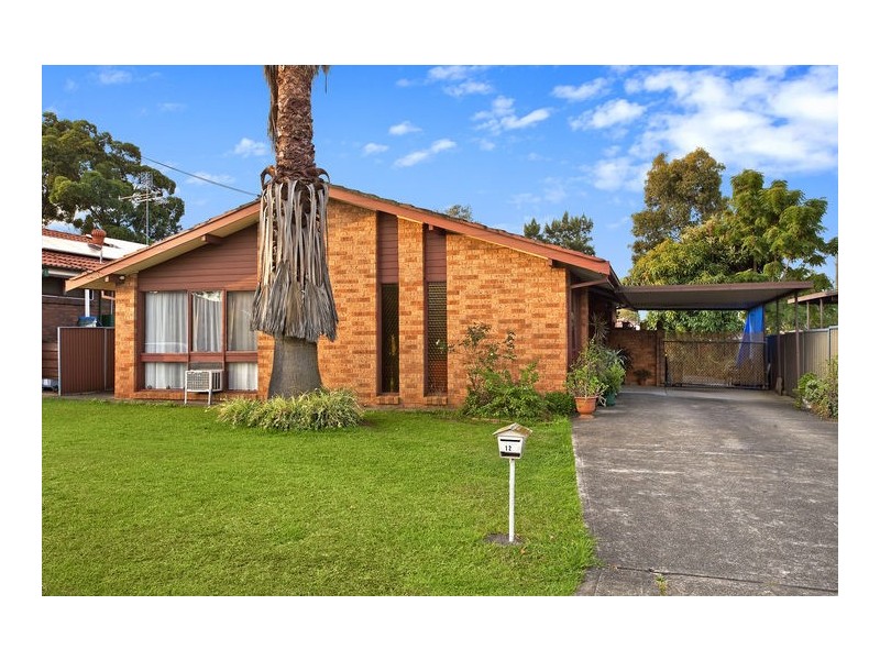 12 Wynyard Ave, Bass Hill NSW 2197