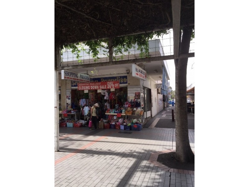 35 John Street, Cabramatta NSW 2166